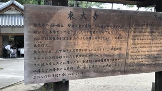 シカが集まる東大寺