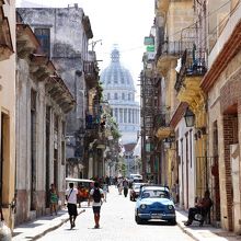 小道の遠くからカピトリオが顔を出しました。