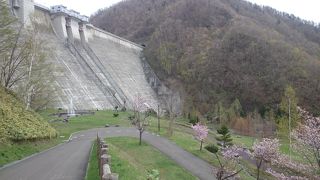 迫力があります