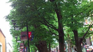 大國魂神社への参道