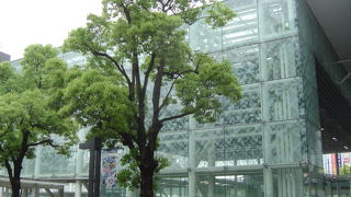 どこに何があるのかわからない。