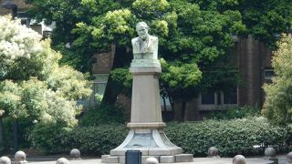 アイルランド出身の工学部の教師