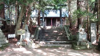 スカイツリーと同じ高さの神社