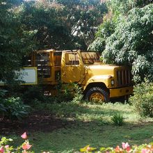 古い農業機械やトラックの展示