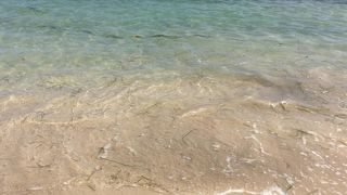 陸地に上がって産卵するクサフグの産卵場所にもなっているそうです。