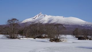 まさに大沼公園のシンボル