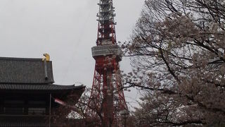 七変化する東京タワーをいろいろ楽しむことができました。