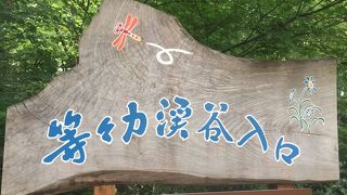 そんなに綺麗な川ではないが