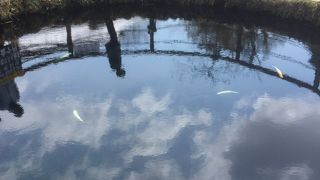 初めて行きました。