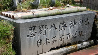 初めて行ってみました