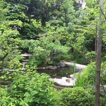 予想を裏切らない日本庭園