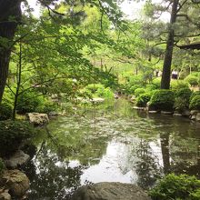 修学旅行も来てます