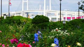 花いっぱい! 薔薇いっぱい! ガーデンネックレス横浜2017 ~ 港の見える丘公園篇 (5月) ~