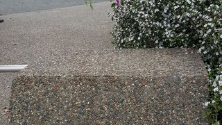 浦島伝説が残る