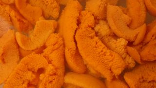 北海道産バフンウニ