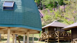 キャンプに行きました