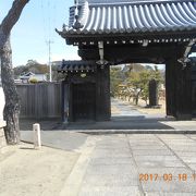 徳川家ゆかりの寺で　瑶林院墓碑などもある広い寺