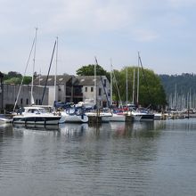 観光船からの風景