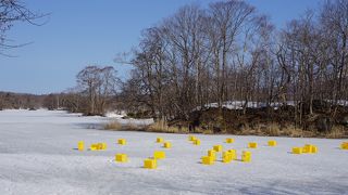 冬のシラサギ釣りがこんなに手軽な場所でできるなんて初めて知りました