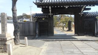 徳川家ゆかりの寺で　瑶林院墓碑などもある広い寺