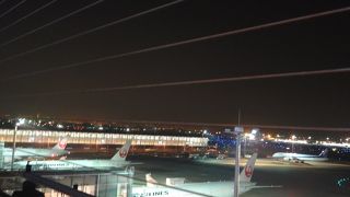 JALが大量に見える