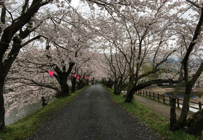 立岡自然公園 クチコミ アクセス 営業時間 宇土 三角 フォートラベル 立岡自然公園 クチコミ アクセス 営業時間 宇土 三角 フォートラベル