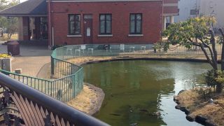 とても気持ちのいい公園