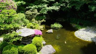 広島では最高ランクの食事処