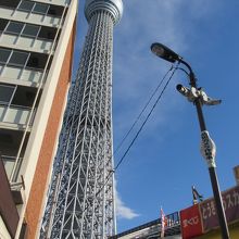 スカイツリーと