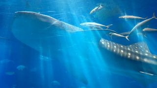 綺麗な施設でした。