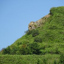 地球岬と逆方面に進むと猿の顔に見える奇岩がありました