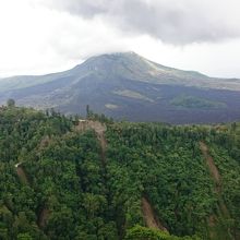 テーブルから見える景色