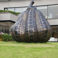 草間彌生さんの南瓜の存在感！どんなアートよりも好き！