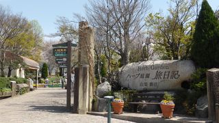 色鮮やかなチューリップ畑