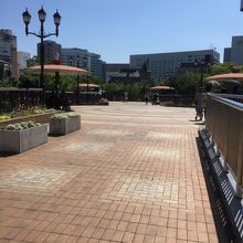 中洲側から天神方向