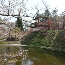 濠と櫓のコントラストがきれい