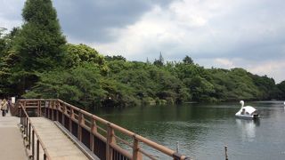 散策スポットが豊富