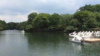 貴重な水源だったのですね