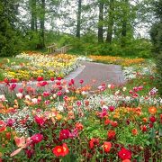 花、花、花! 広大な花の島