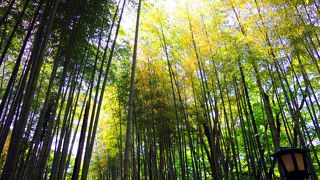 思ったより短い通り。。