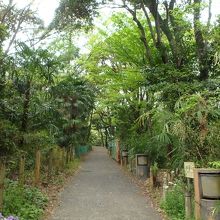 園の外側の通路。右側の園内は立ち入り禁止。