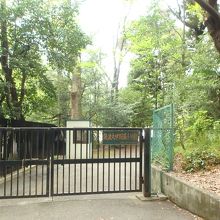 附属小学校の入口。当然この先も、一般人は立ち入り禁止。