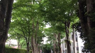 通学が楽しそう