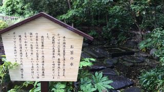 吉祥寺のお茶の水