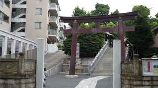 白金北里通り商店会から鳥居が見えます