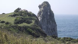 壱岐の代表的景観　確かに猿の顔みたい