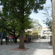 壁で囲まれた、小学校に隣接の公園