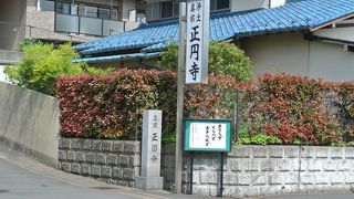 旭区の中白根にある浄土真宗のお寺、正円寺。