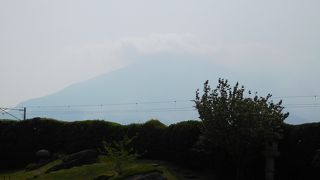 庭園から眺める景色