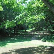 自然の地形を活かした公園（城山公園）